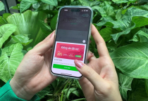 Lợi Và Hại Khi Thuê Xe Du Lịch Qua Ứng Dụng Di Động