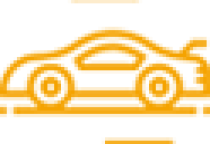 Lái xe chuyên nghiệp